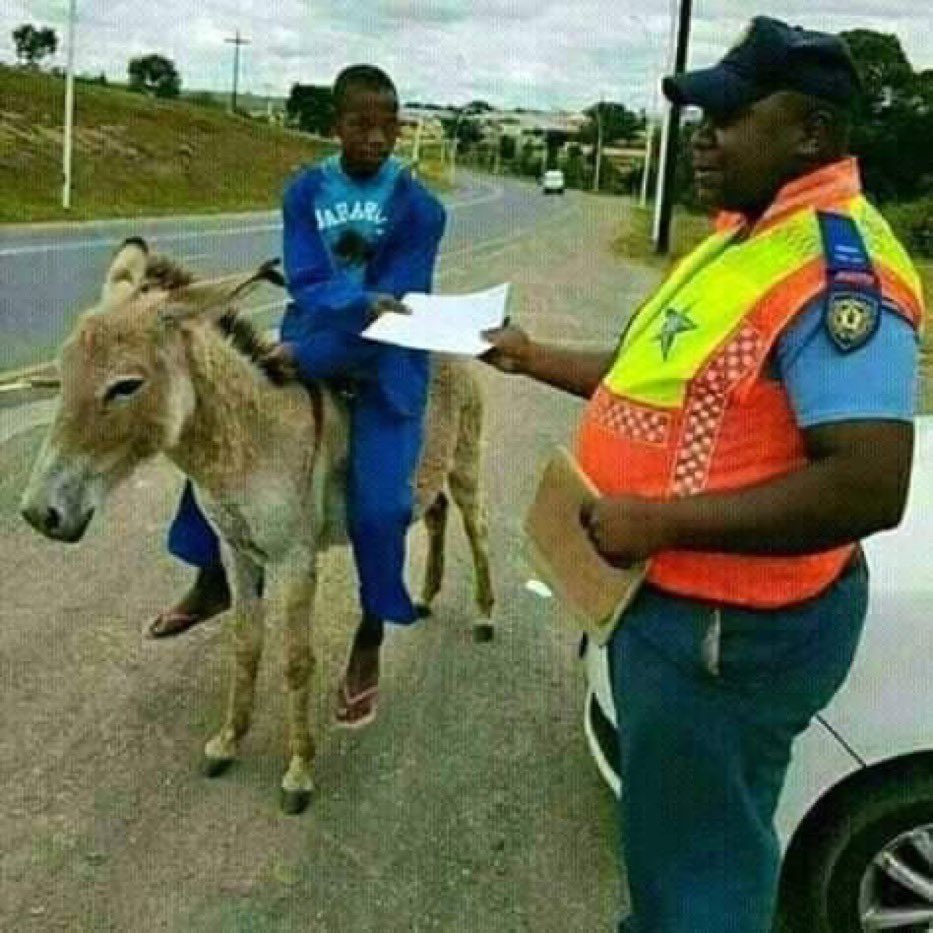 Big Sam | Social media marketing 🎯 tweet media