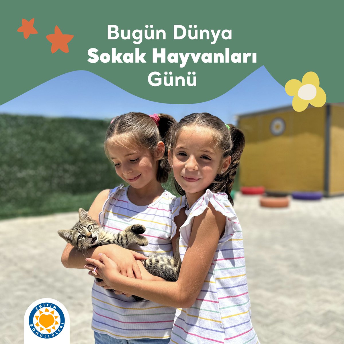 Türkiye Eğitim Gönüllüleri Vakfı - TEGV tweet media