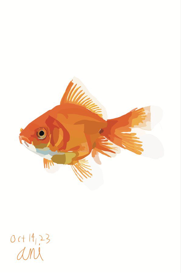 Creedonchain tweet media