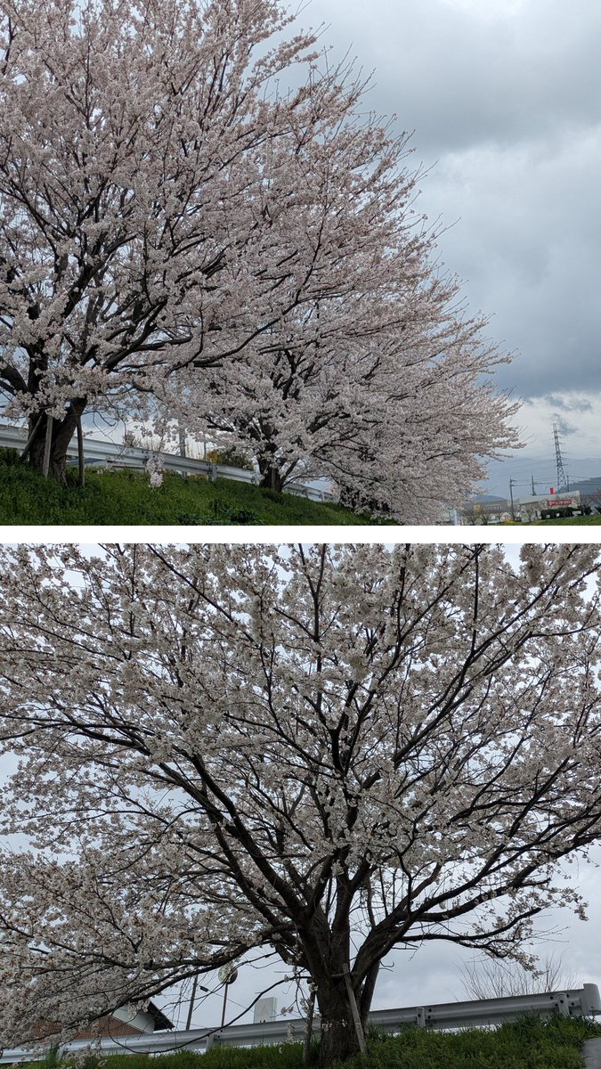 ★しもしも☆ tweet media