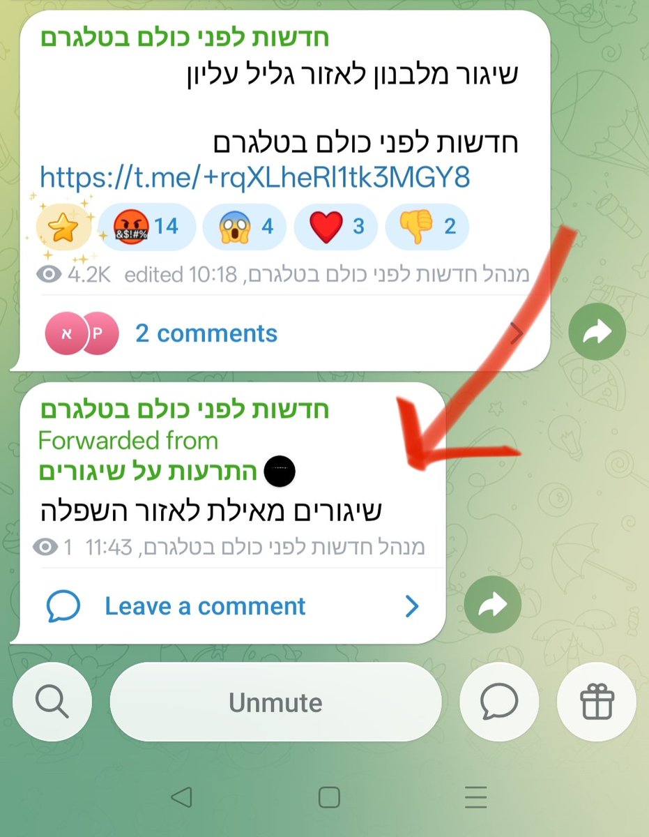 Shalom & Tikva tweet media