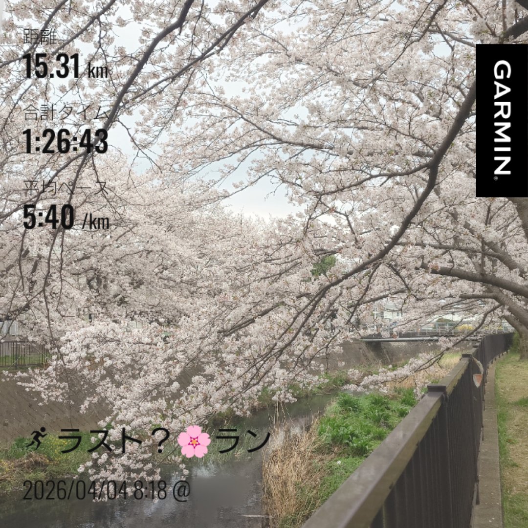 じゅんべぇ。 tweet media