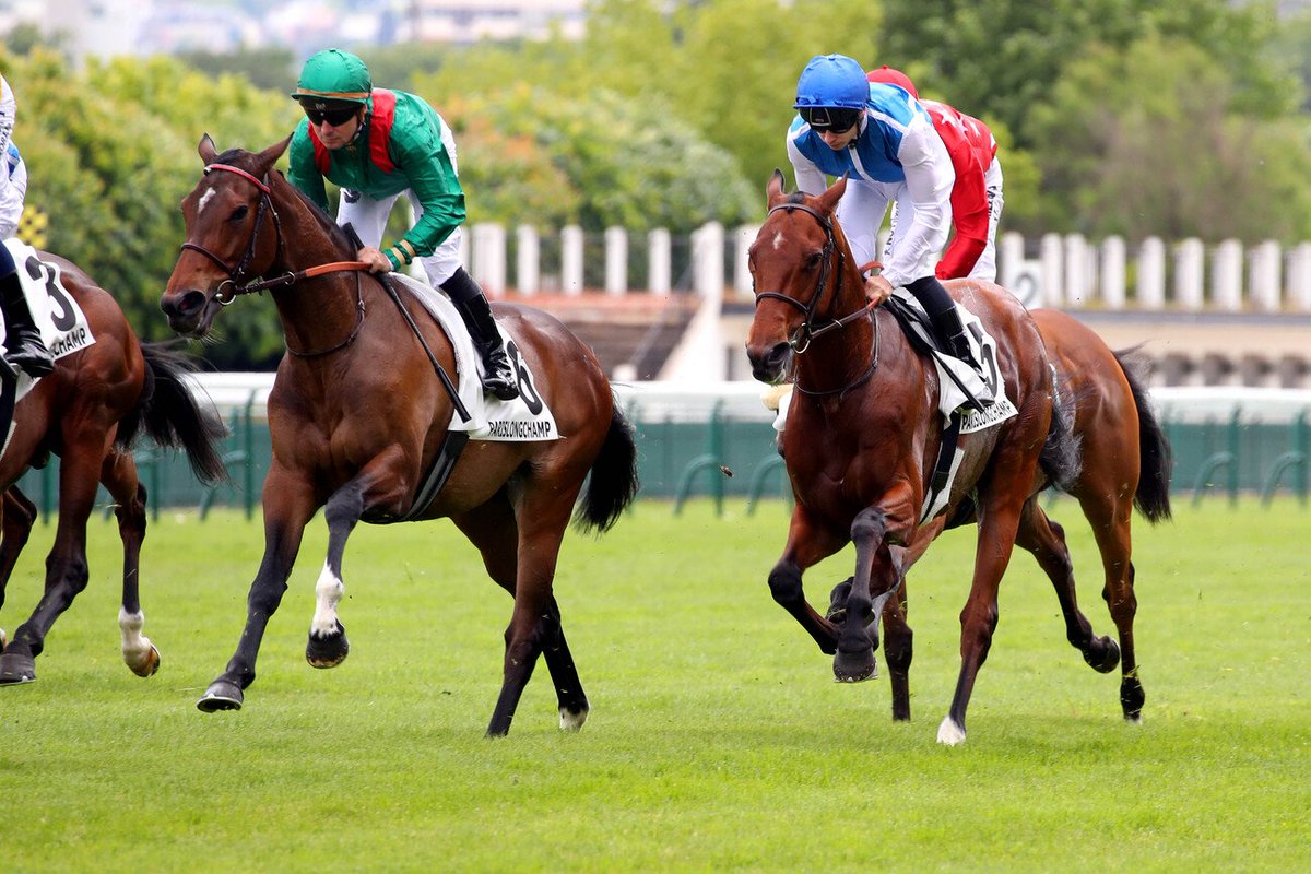 CharlyMilpied's tweet image. #Galop #Premiere

C'est du jamais vu la réunion de Longchamp ce dimanche ?

Avec seulement 2 entraîneurs, nous avons les deux premiers favoris de 7 des 8 courses de la journée.

Excitant ou Inquiétant ?