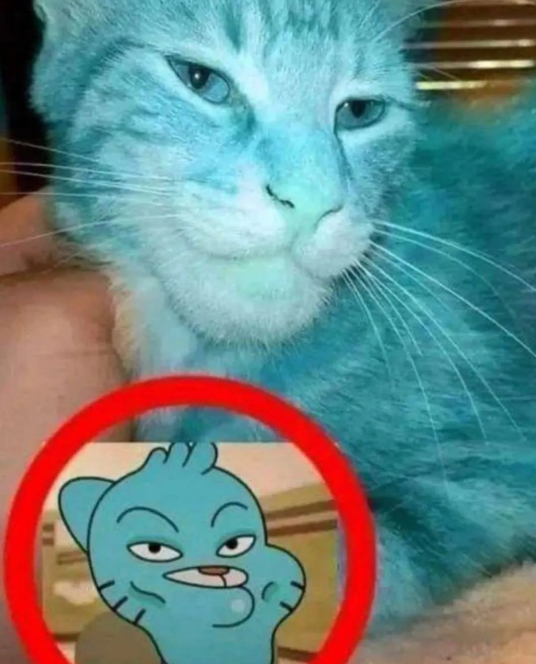 Shitpost 2077 tweet media