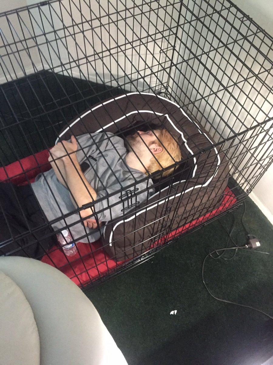 ౨ৎ | the drama spoilers tweet media