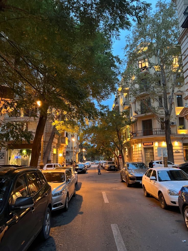 𓂀 Nefertiti : Nile Tales 𓅓 tweet media