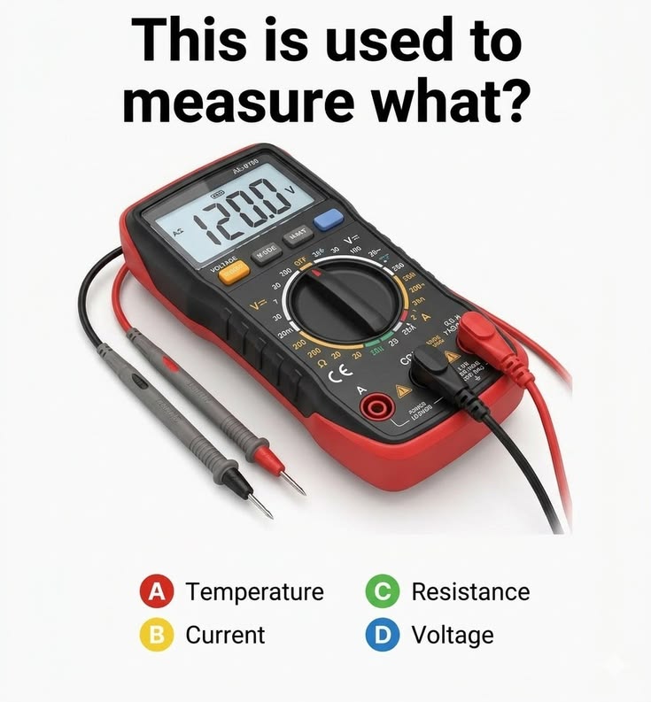 Lady Ascent tweet media