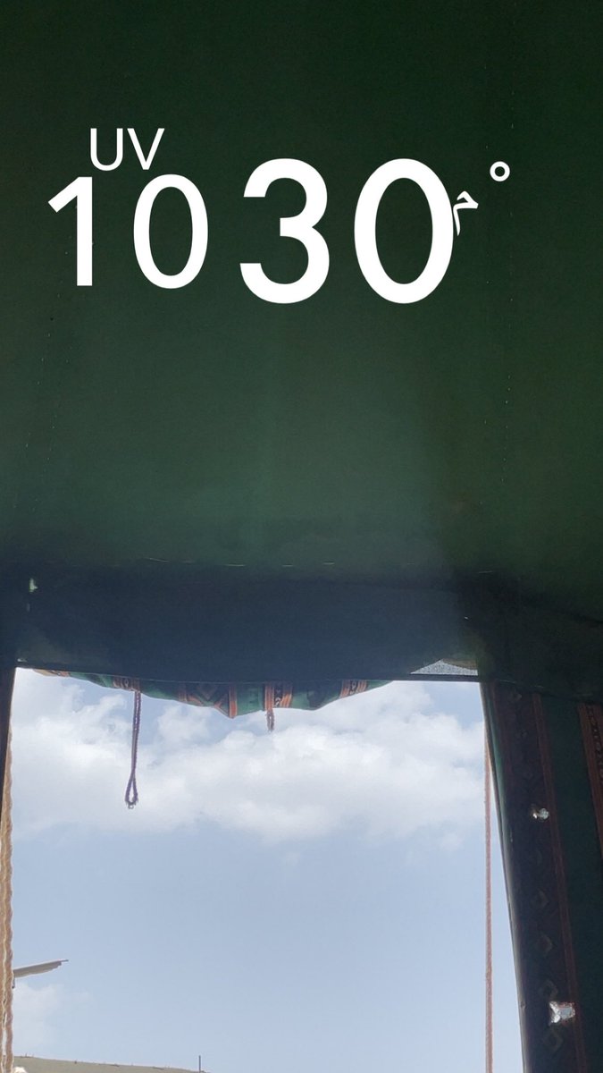 حصه بنت الباديه🐪 tweet media