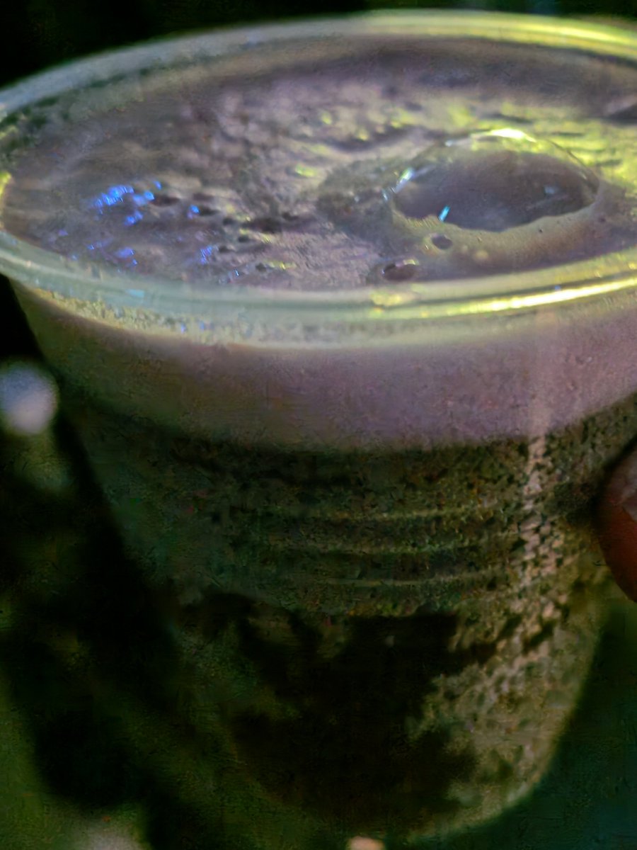 💉 ゆ ― こ ば tweet media