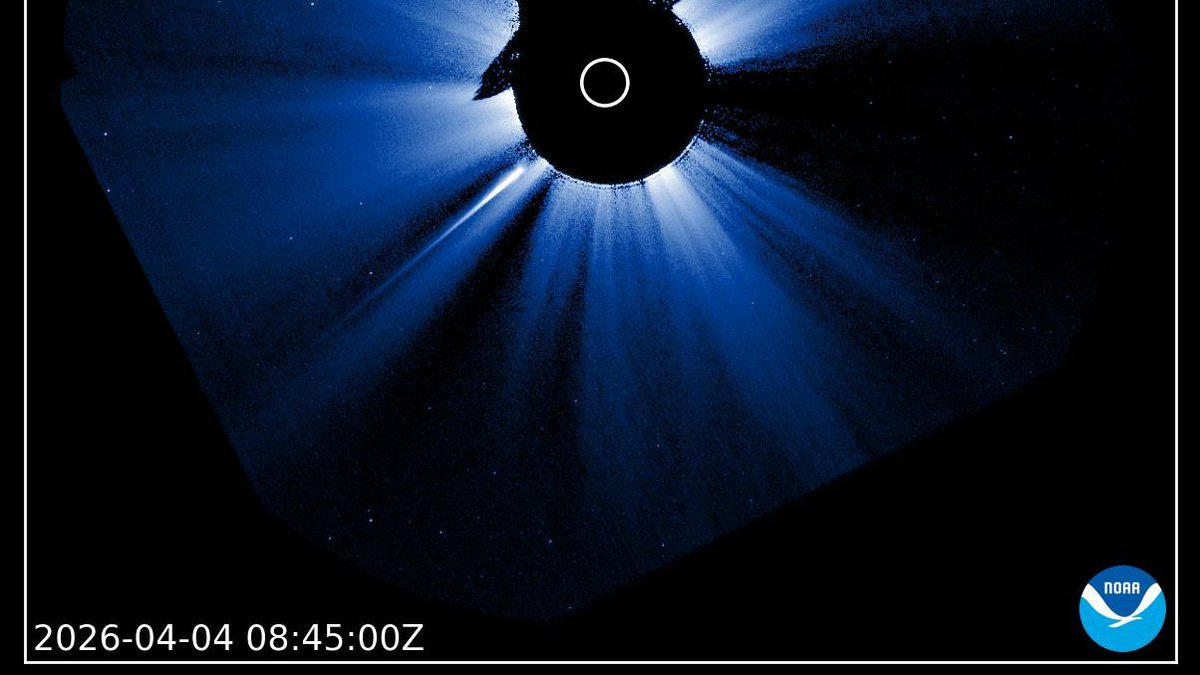 Kouji Ohnishi 大西浩次 tweet media