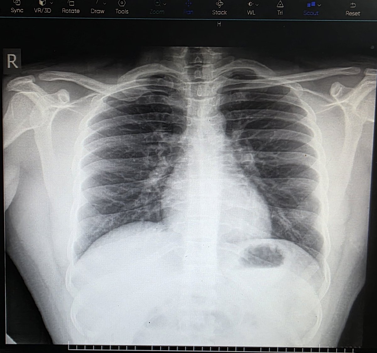 Miss_Radio_Talks ☢️🐣 tweet media