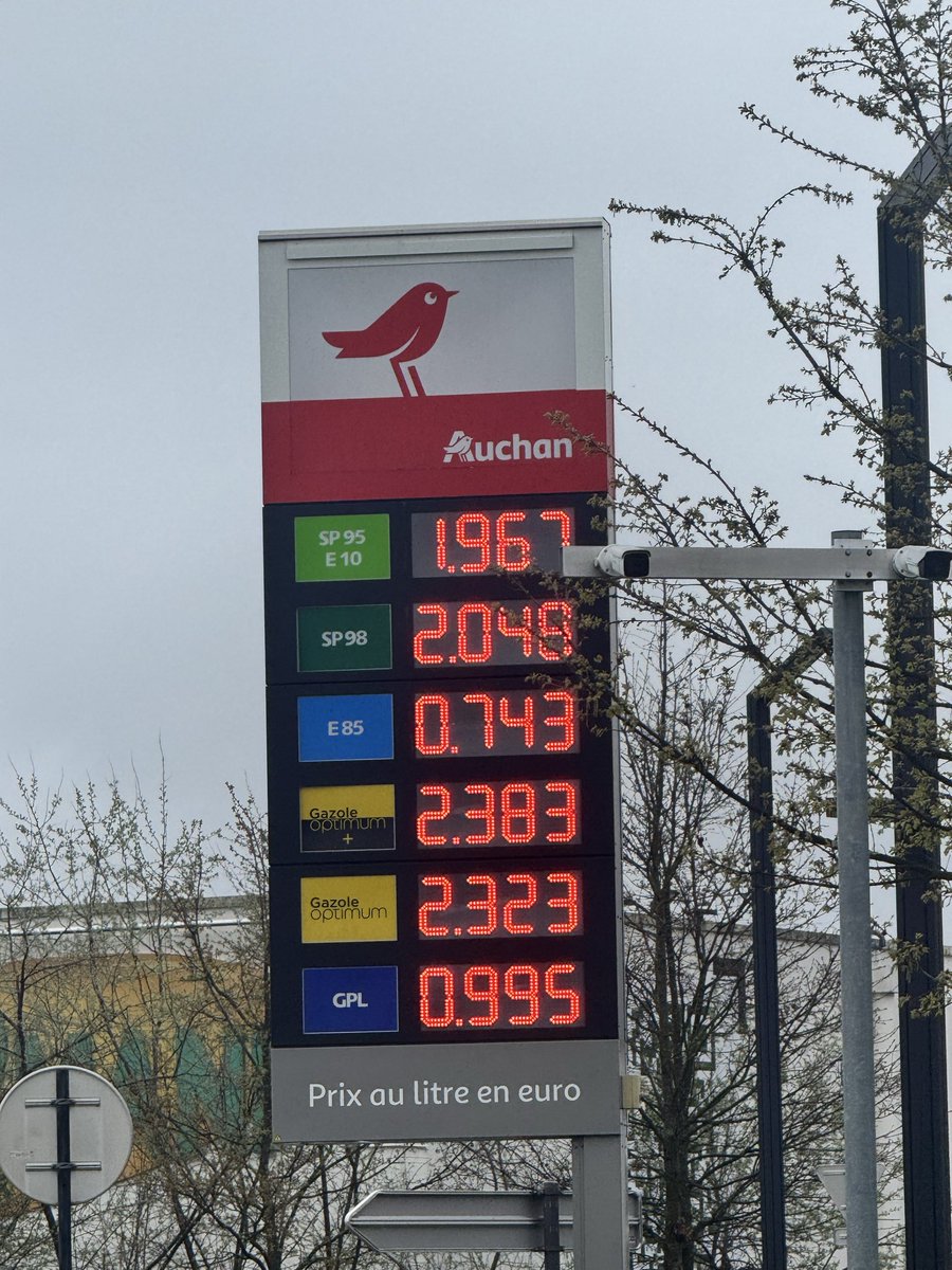 Mohsa D. Kazdal 🇵🇸🇫🇷🇩🇿🇿🇦 tweet media