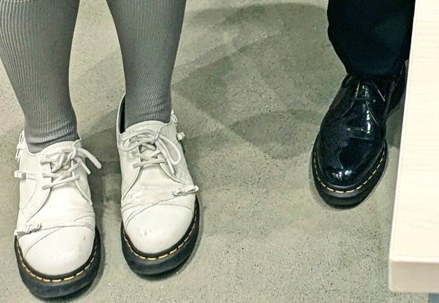 そらふね🕊️ tweet media