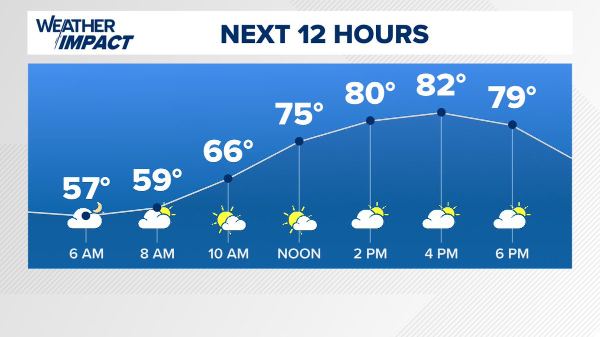 Andrea Michaels tweet media