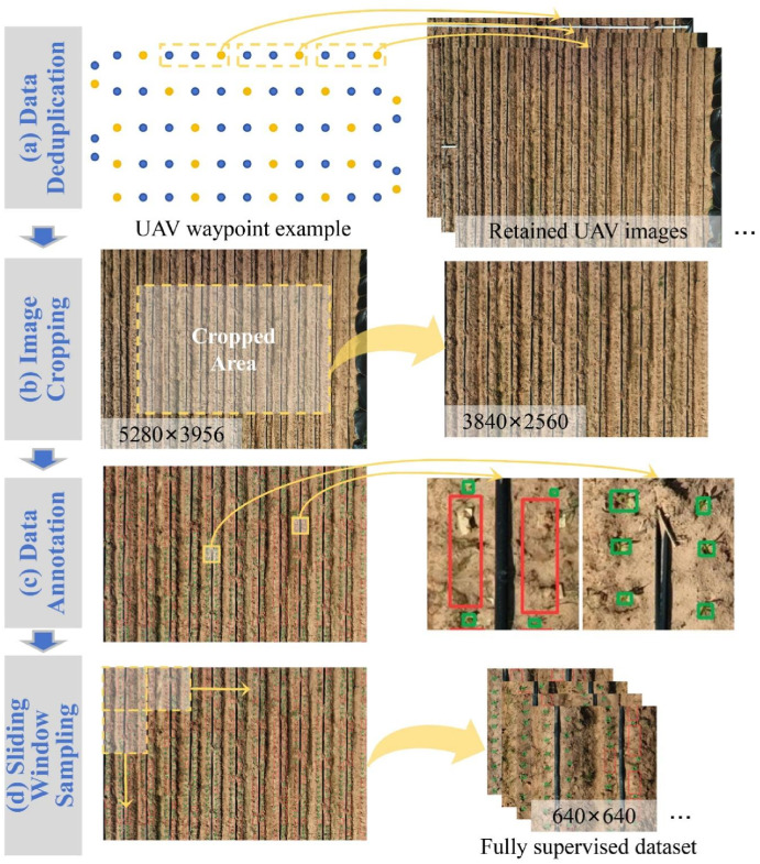 PPhenomics's tweet image. New UAV-based pipeline detects maize seedlings at V2 stage with 92% precision, uses semi-supervised learning to cut annotation costs, and maps missing seedlings to field coordinates within 0.5m! 🌽🚁 #PrecisionAg #UAV #SmartFarming
Details: doi.org/10.1016/j.plap…