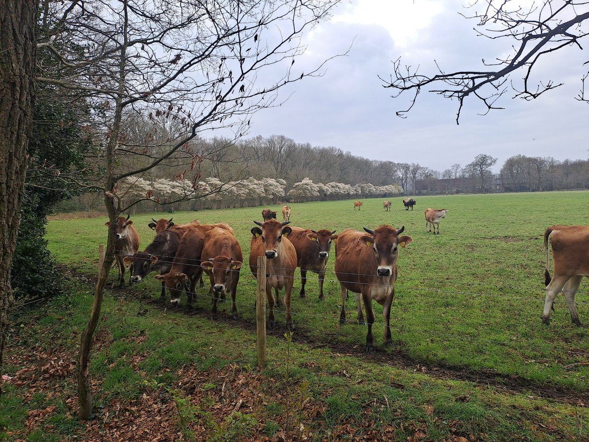 Willeke🐬🌻 tweet media