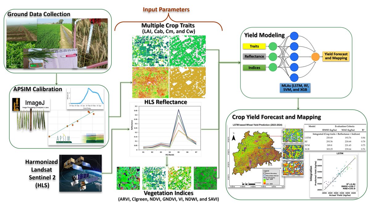 RemoteSens_MDPI's tweet image. 🌾🌾 Geospatial Robust #Wheat #Yield #Prediction Using Machine Learning and Integrated #Crop Growth Model and #TimeSeries Satellite Data

✍️ Rana Ahmad Faraz Ishaq et al.
🔗 brnw.ch/21x1jxZ