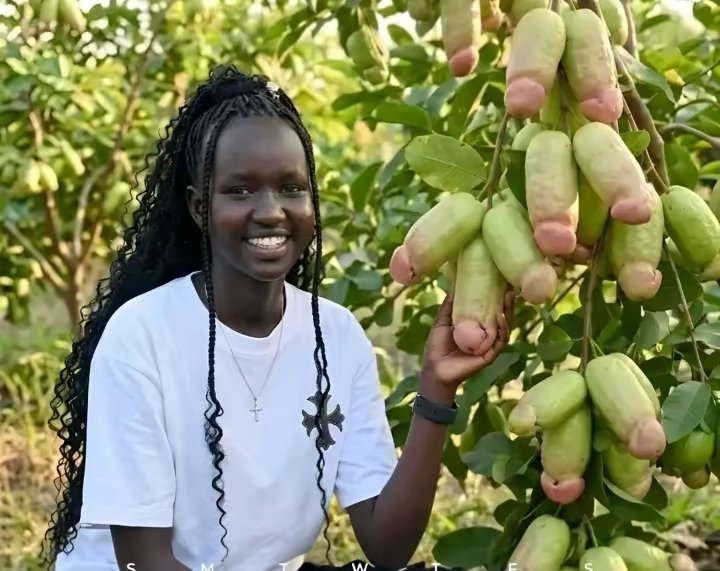 CITY GENE 🧬🧬🧬 tweet media