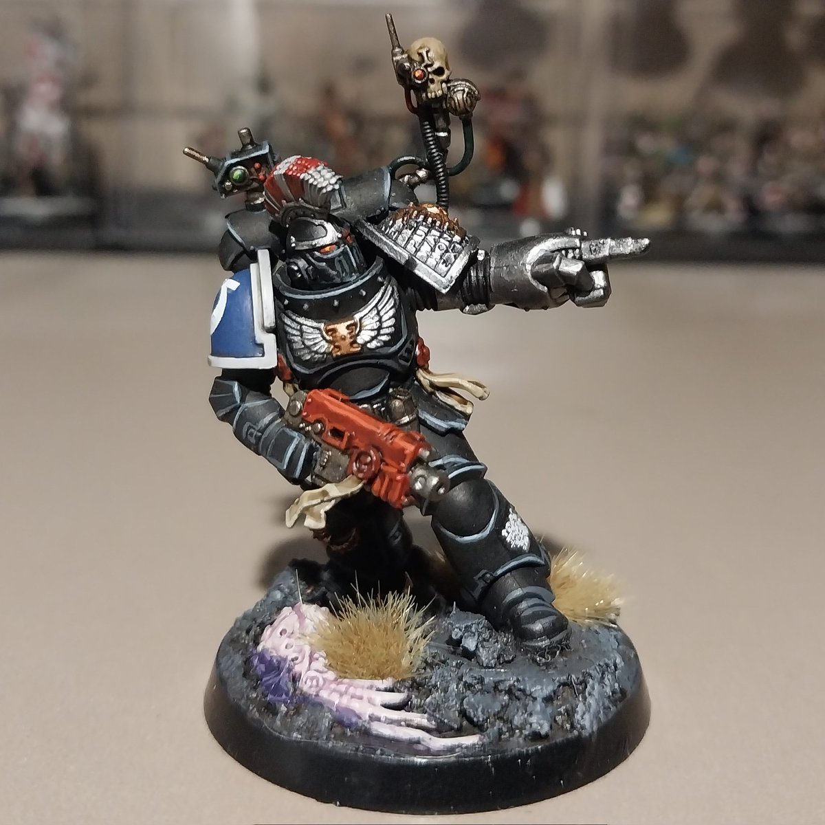 Intuplat 147 tweet media