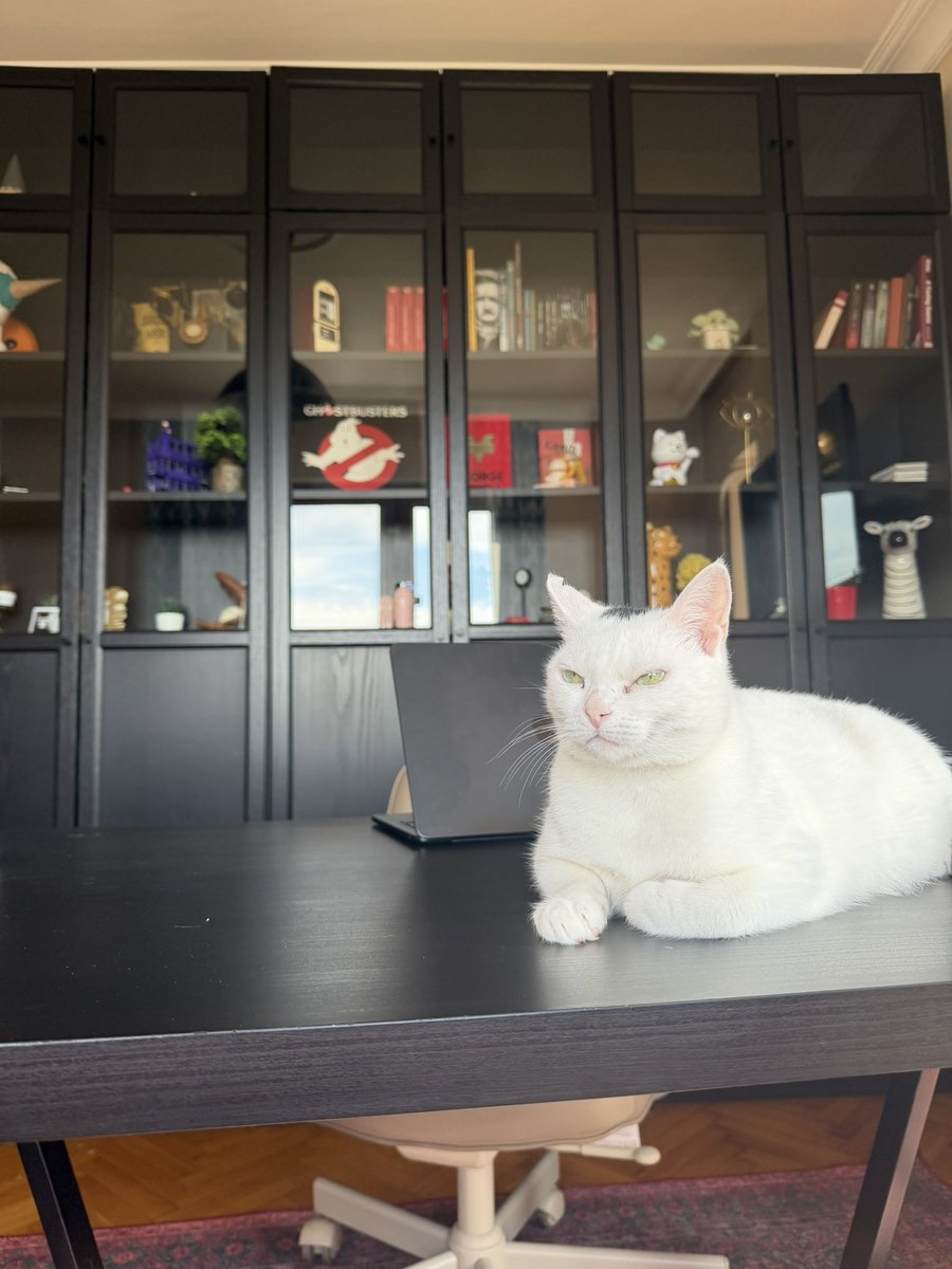 muhteşembirhayatınkeyifliufakdetayları tweet media