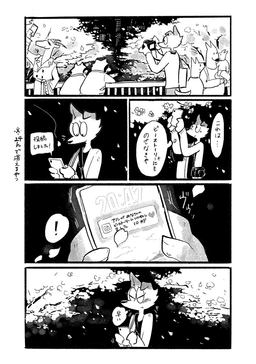 蒔/maki tweet media