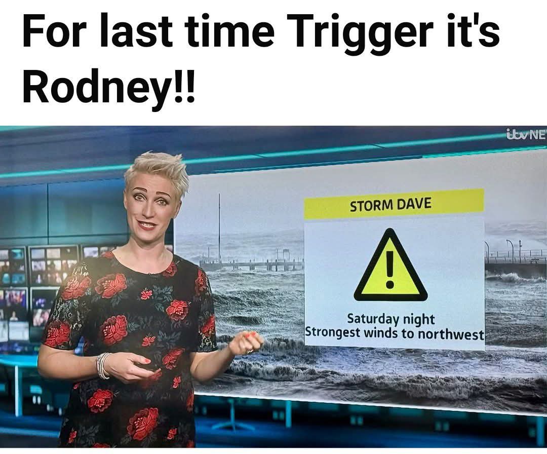 DerekT 🇮🇪 tweet media