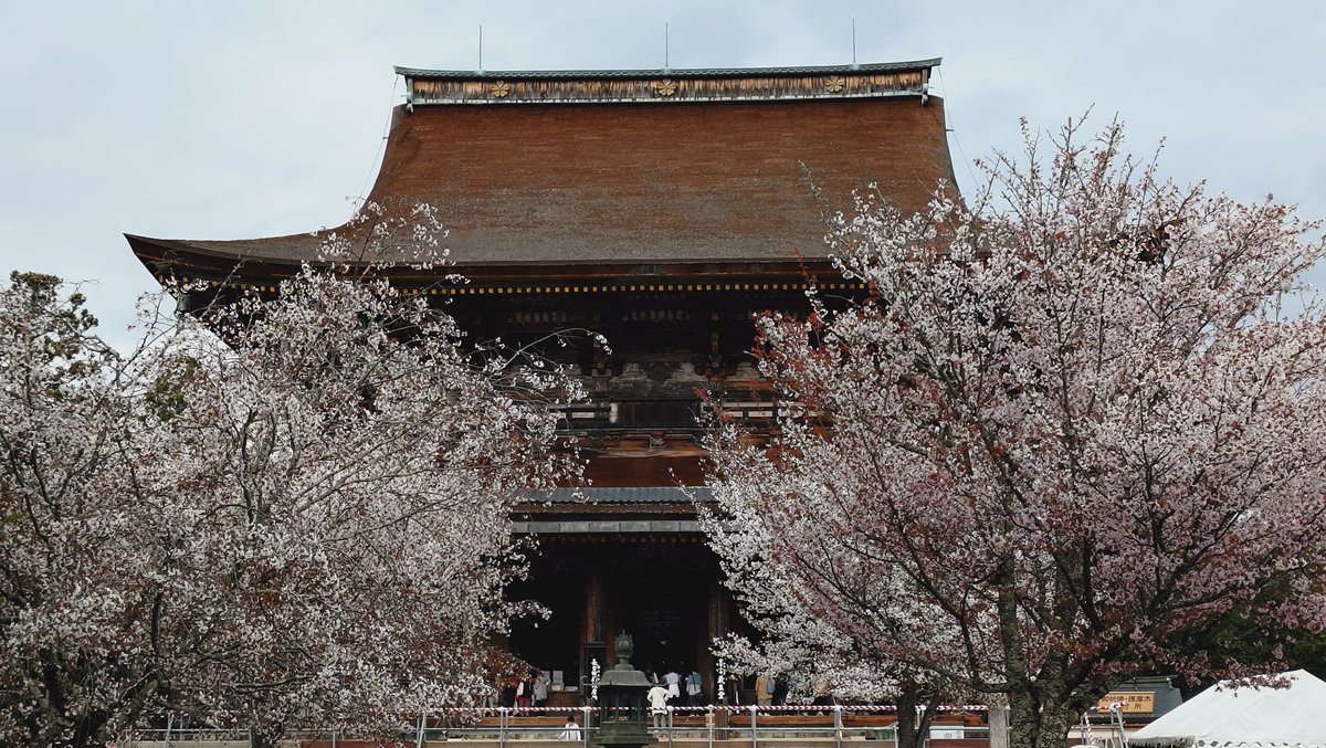 ミヤツカサケイ tweet media