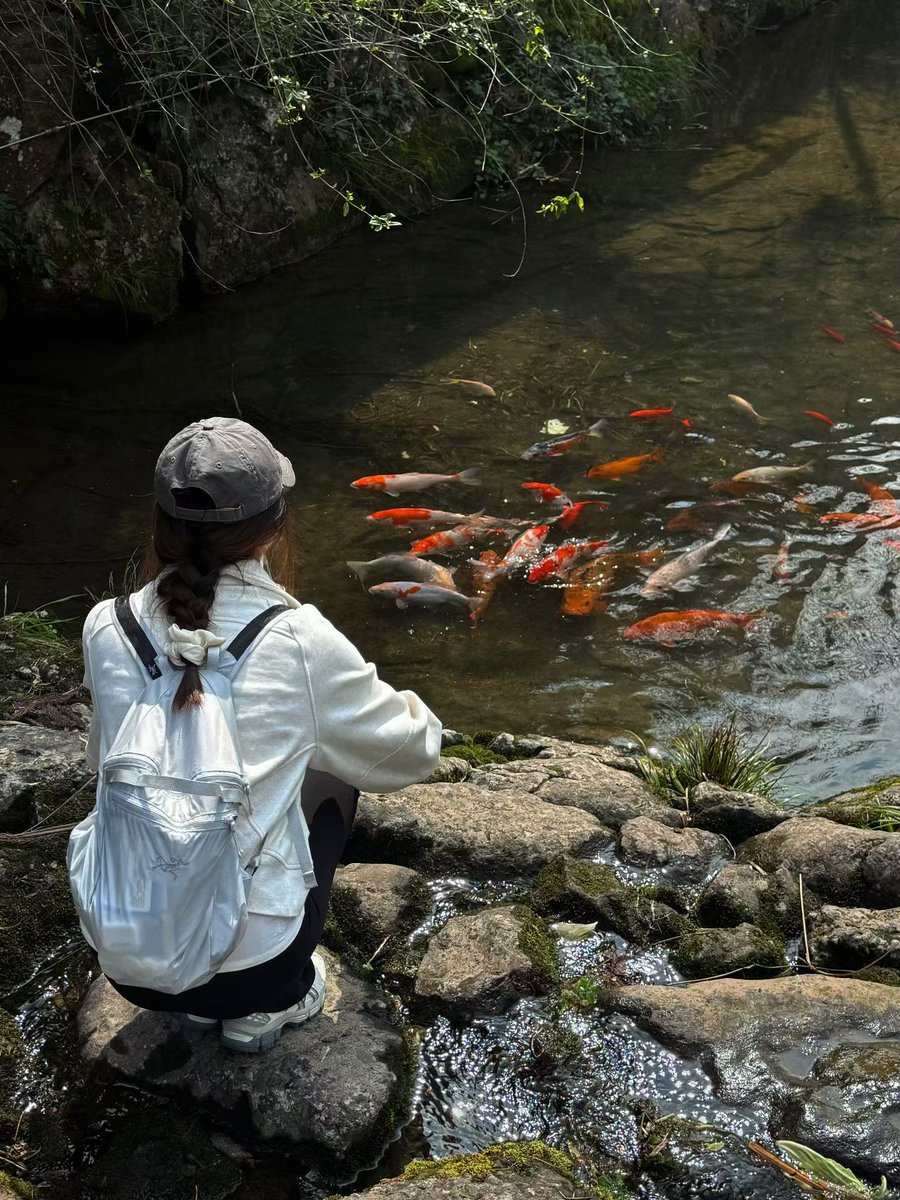 温州小瓯柑（互fo） tweet media