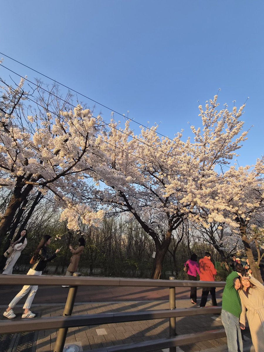 에스부부♡ tweet media