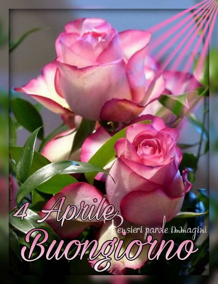 Cristiana tweet media