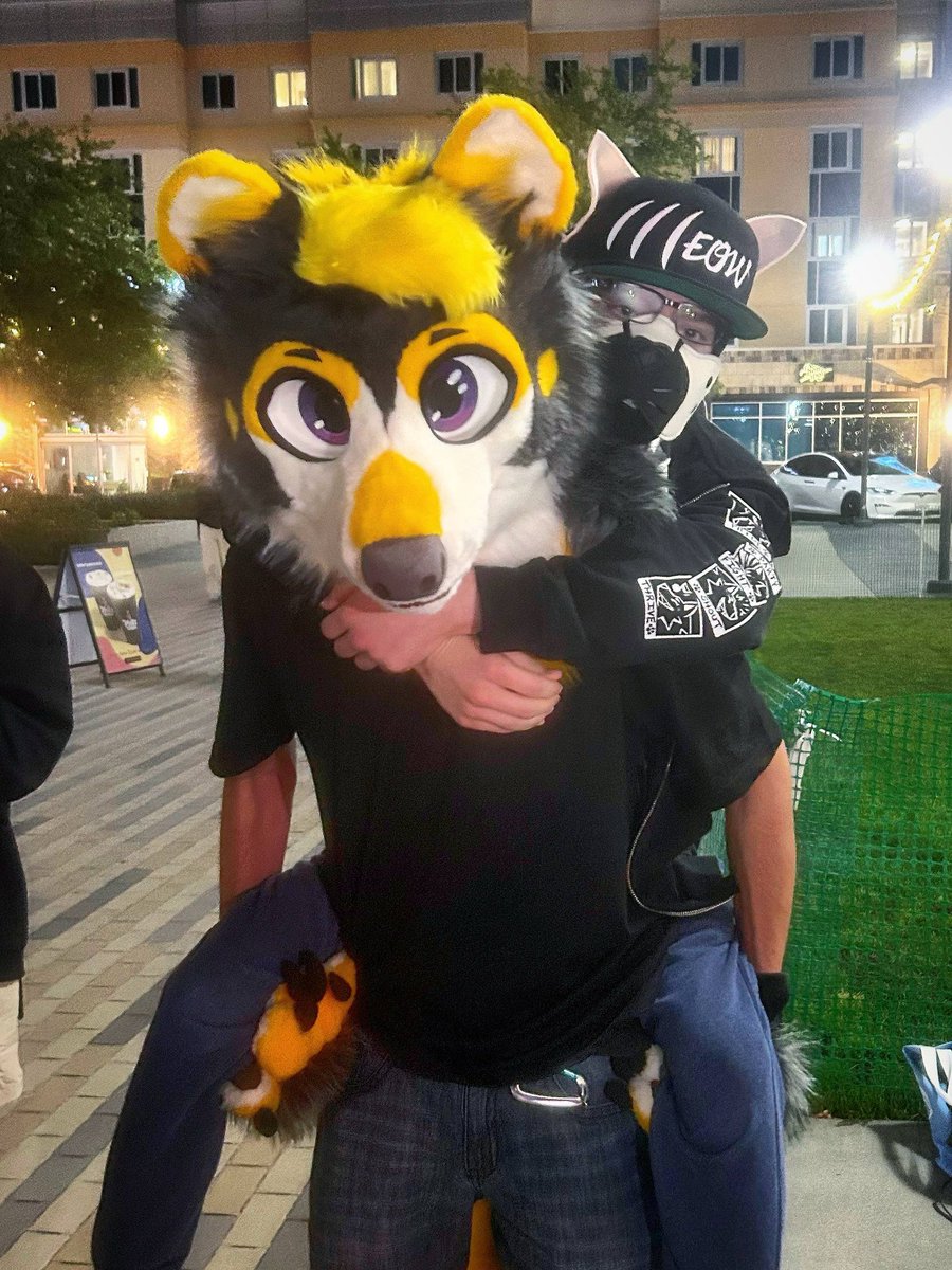 Triple🐾 tweet media