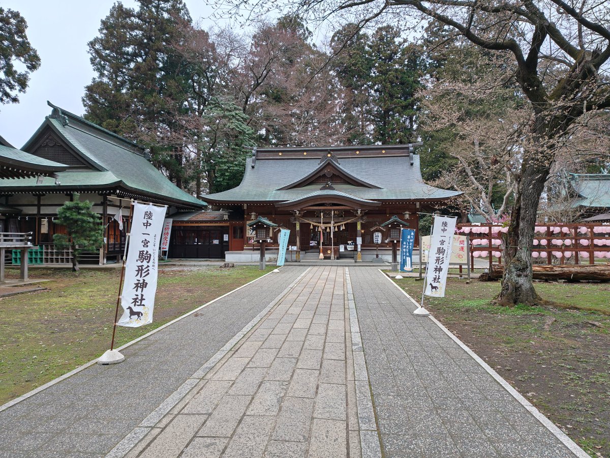 ますぞう tweet media