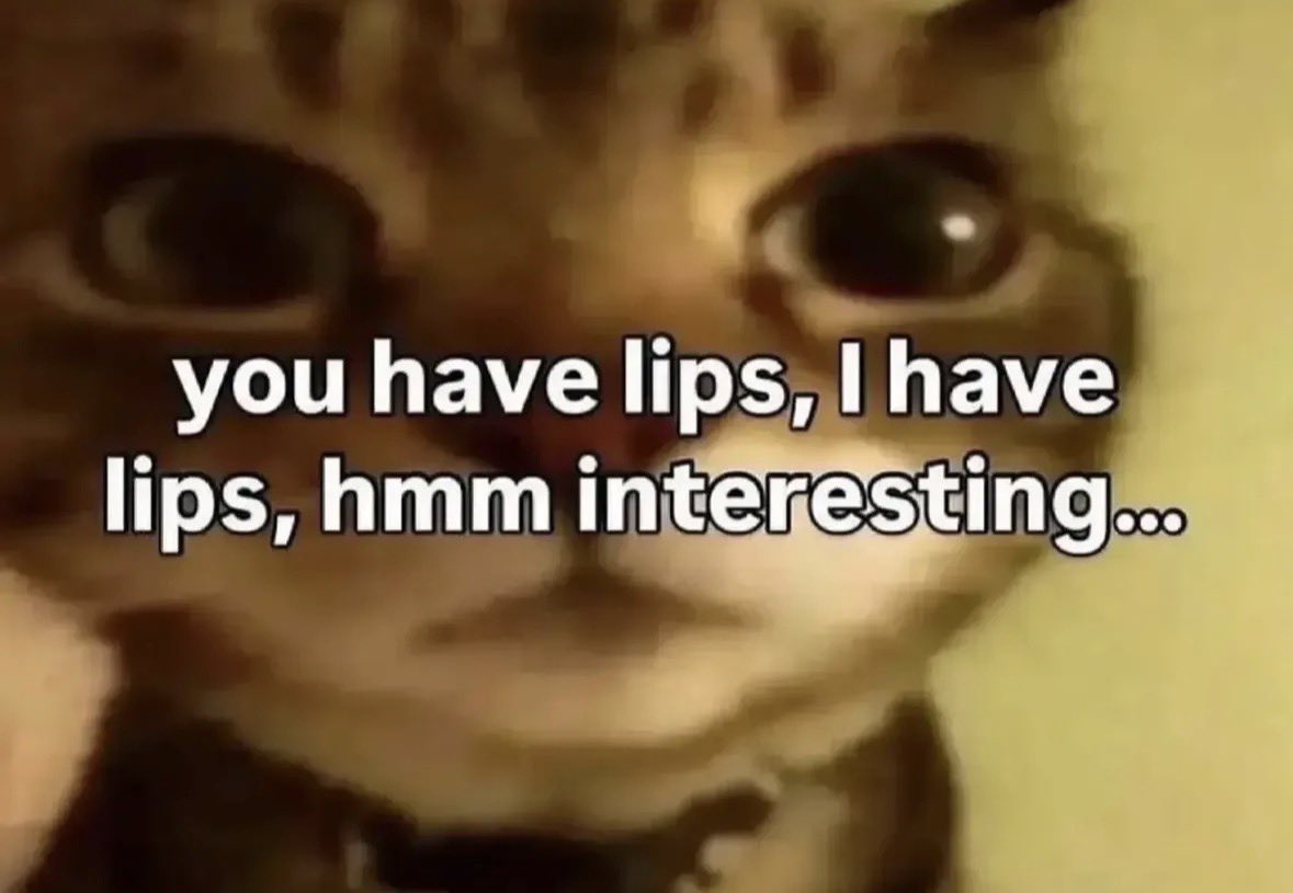 raccoon aesthetic. tweet media