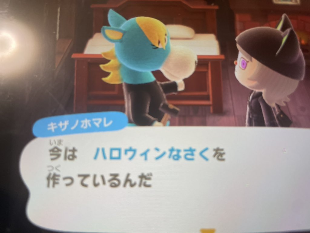 のんのん🐶 tweet media