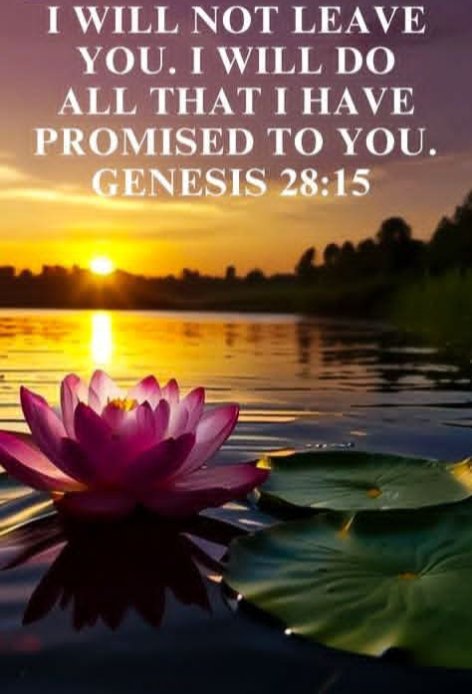 Pastor Carl Hansen tweet media