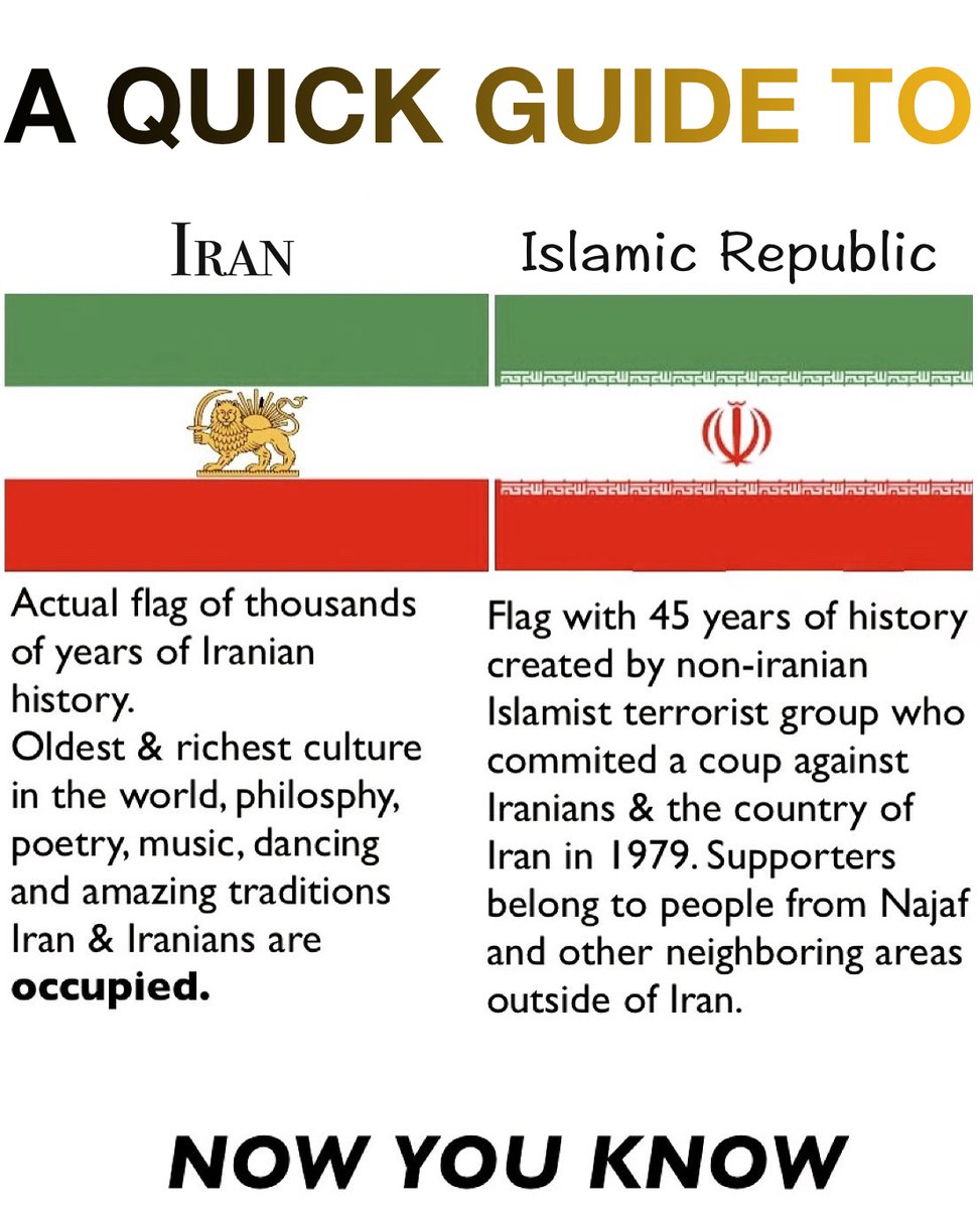 Savakzadeh tweet media