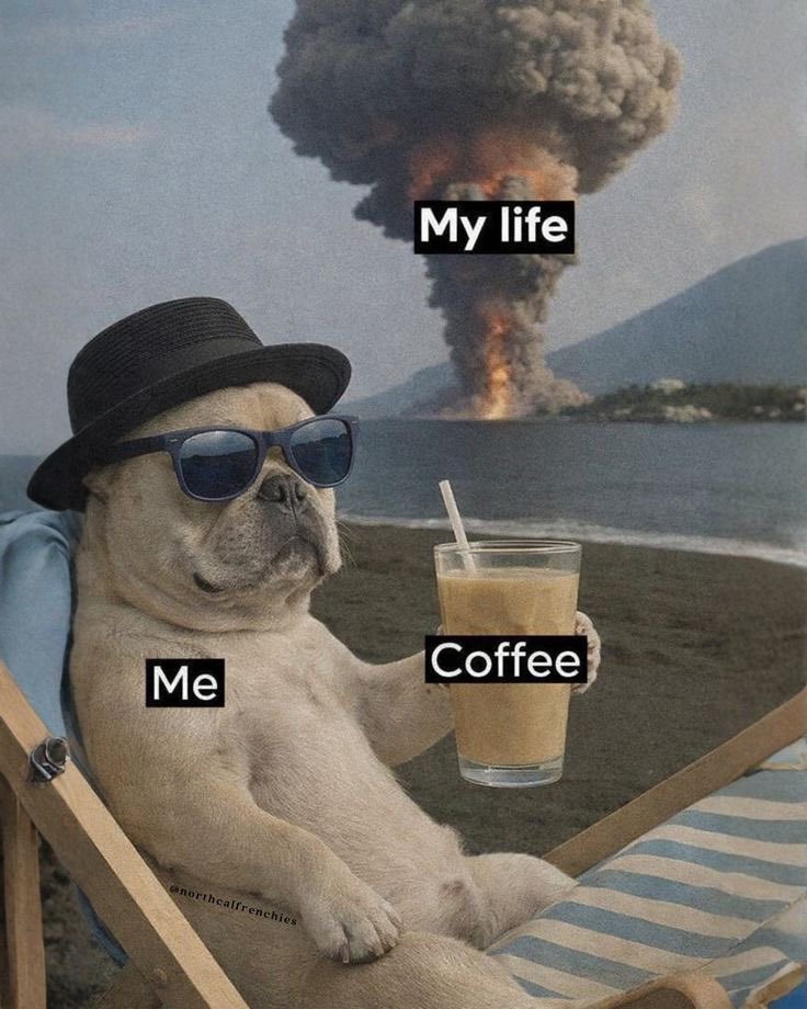 ノックアウト 🎌 tweet media