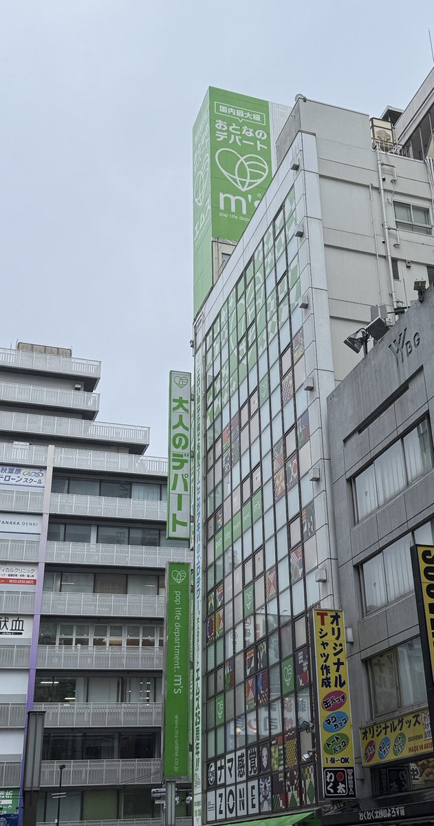 レンタルなんもしない人 tweet media