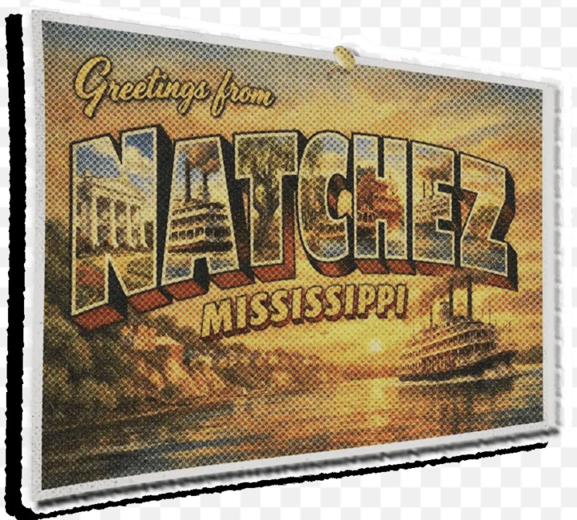 Somerset Gloom tweet media