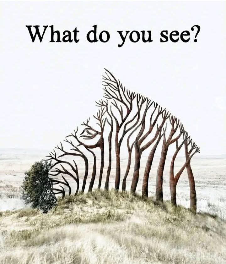 Jessica Rani ❤️ tweet media