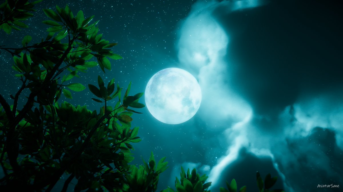 AvatarSane tweet media