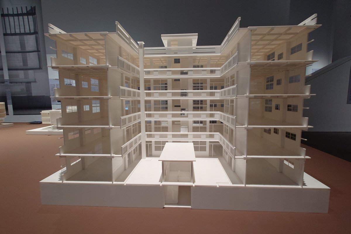 しんげつ🦑 tweet media