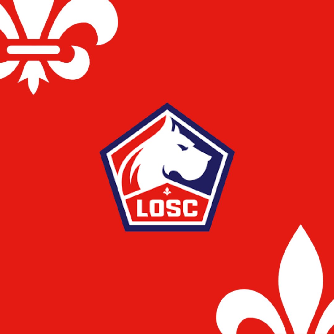 DOGUE INSIDE 🐶 tweet media