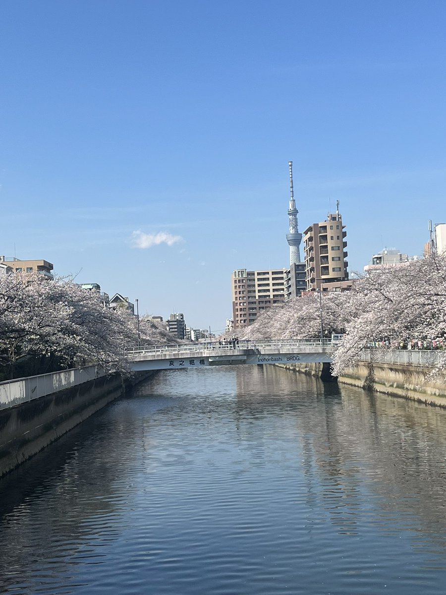 山﨑香@舞台女優 tweet media