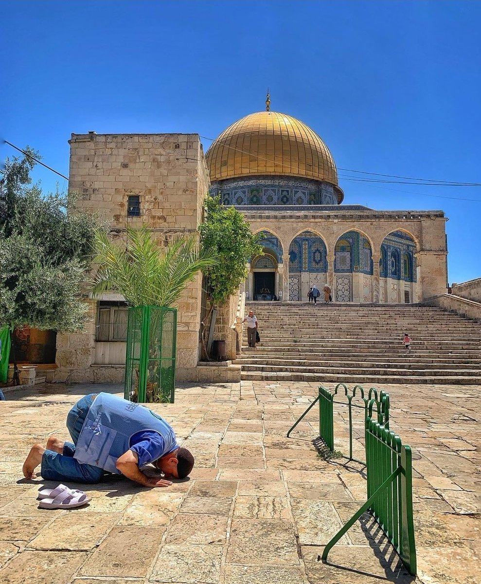 AqsaMosq's tweet photo. بينَهُ وبينَ محرابِهِ 'حاجز'.. وبينَهُ وبينَ ربّهِ 'سجدة'. 🕌

 🚫 ٣٦ يوماً من الإغلاق المطبق

 #القدس #المسجد_الأقصى https://t.co/Db0FsvX65I