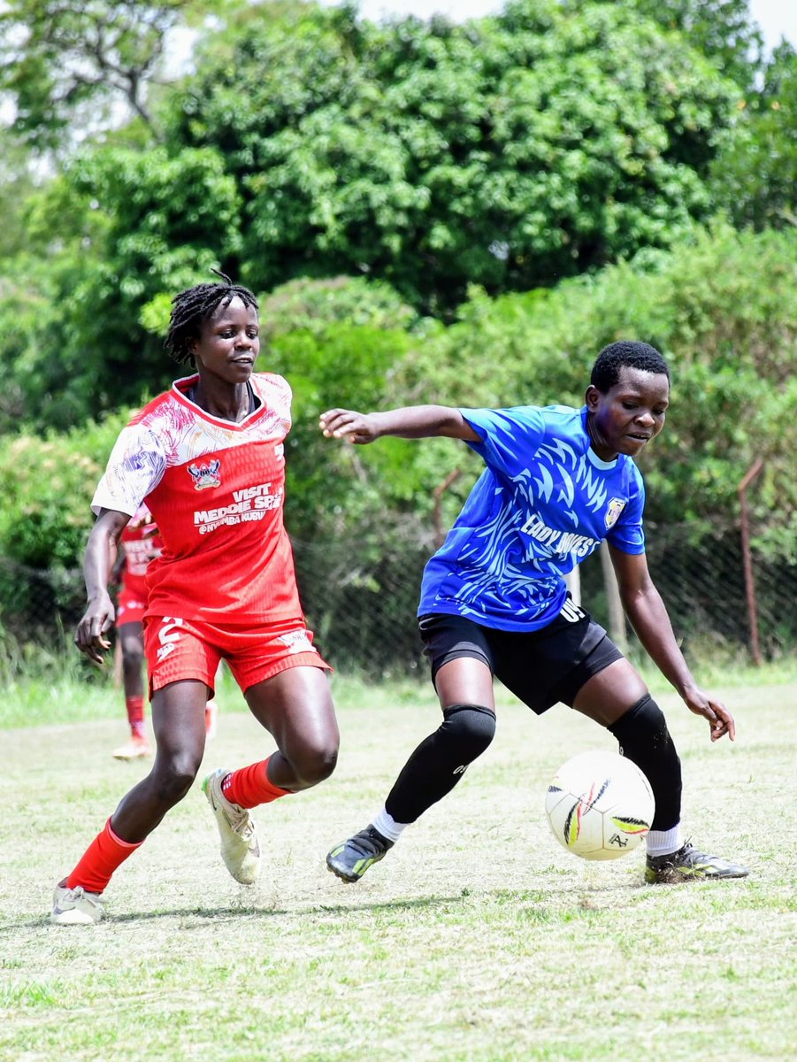 ladydovesfc's tweet photo. FTBFWSL 
Points shared 

FT  Lady Doves 0-0 She Mak 

Come on Believers https://t.co/XWfyyYIfWt