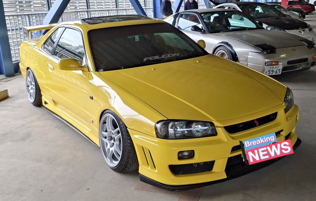 灰色狼のくまっち tweet media