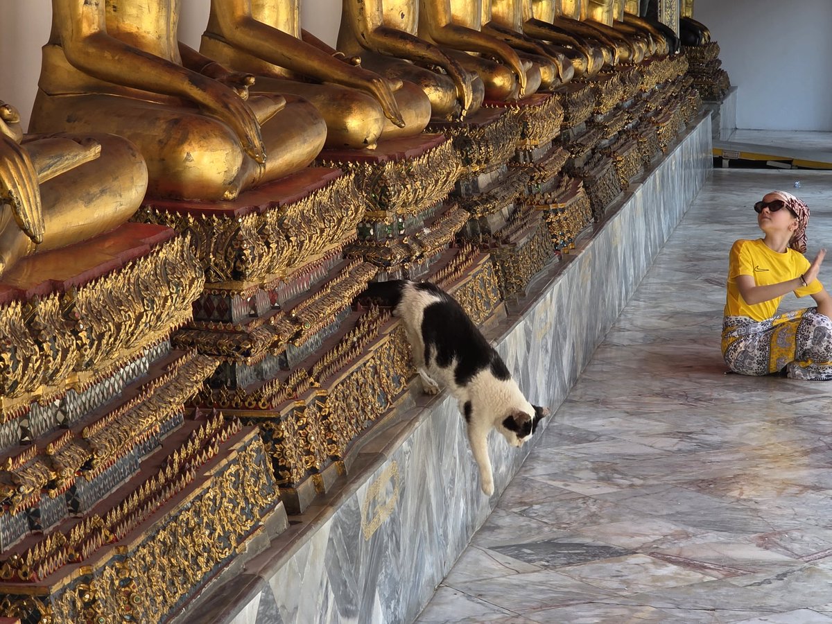 Kang👑Orm tweet media