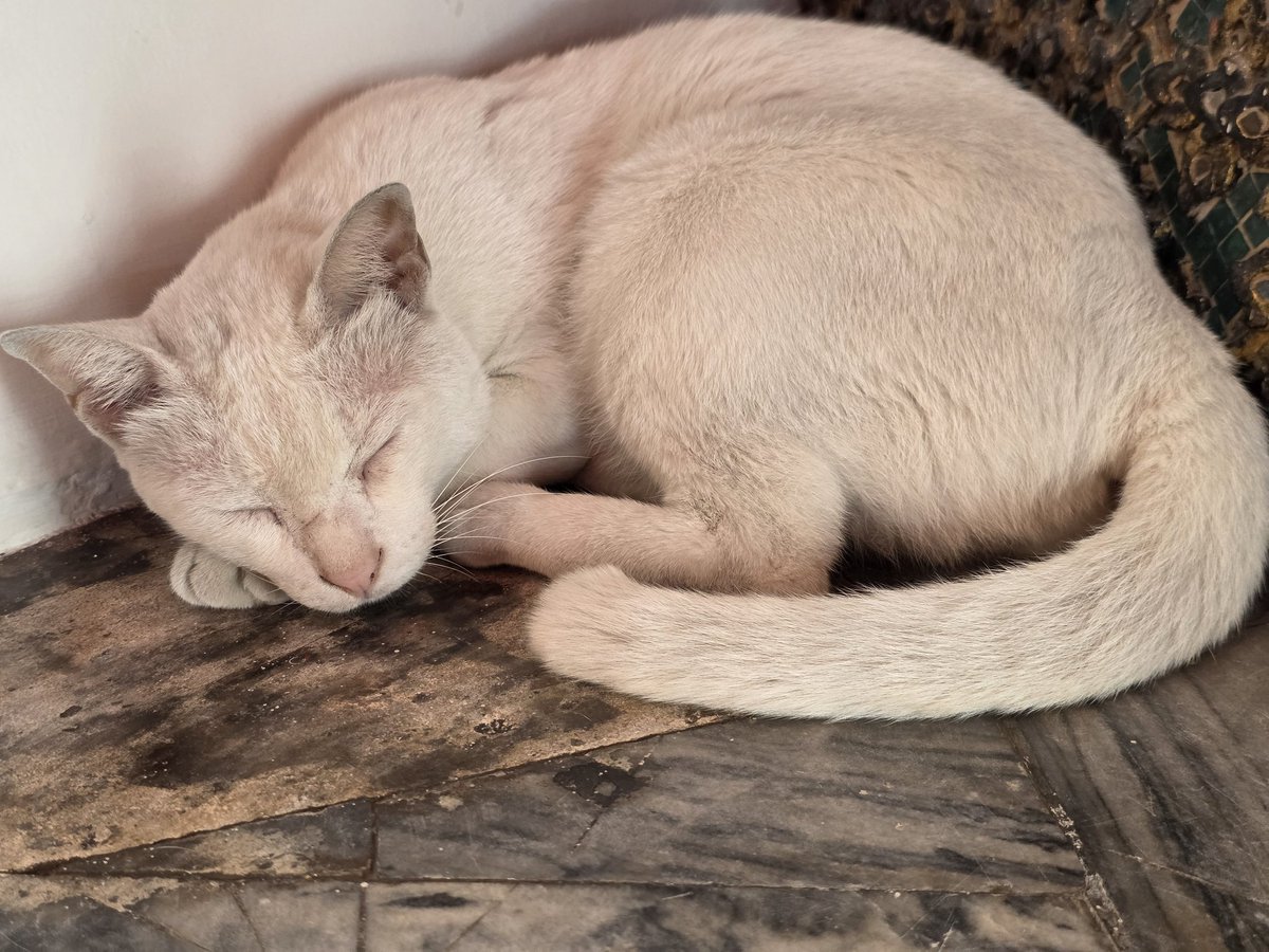 Kang👑Orm tweet media