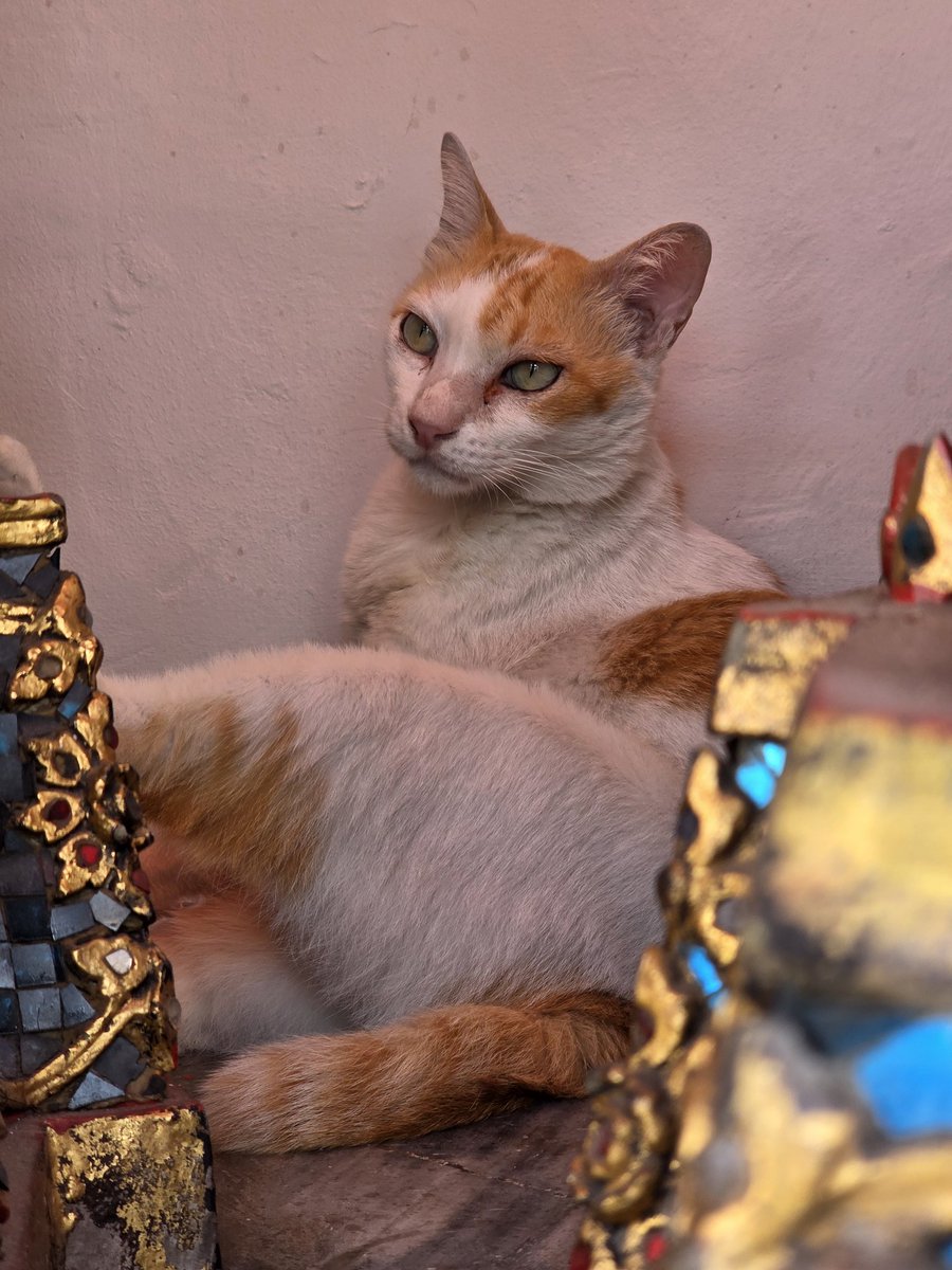 Kang👑Orm tweet media